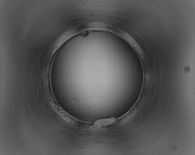 X0000093601002200710221543