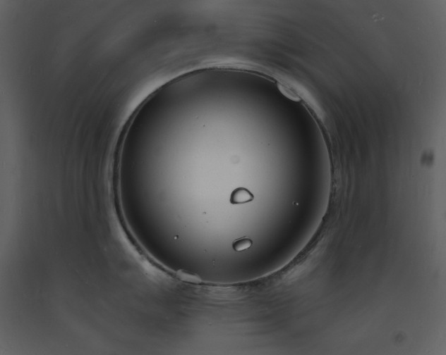 X0000093601007200710221543