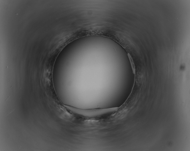 X0000093601010200710221543