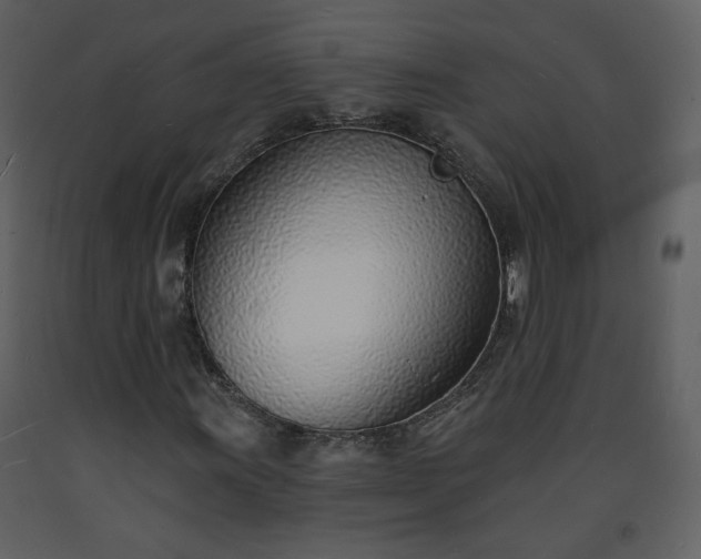 X0000093601011200710221543