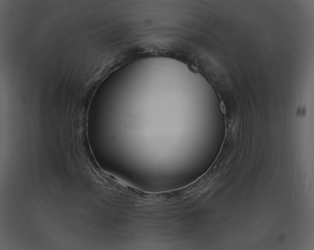 X0000093601012200710221543