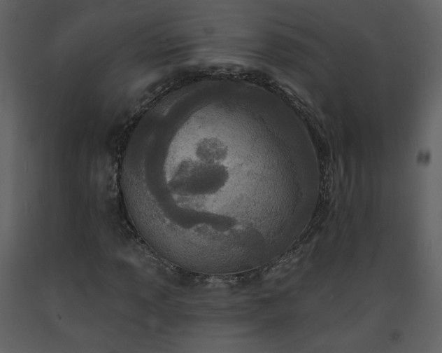 X0000093601013200710221543