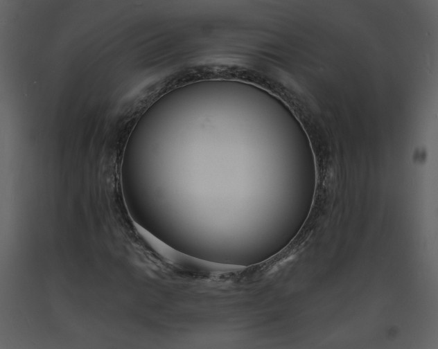 X0000093601014200710221543