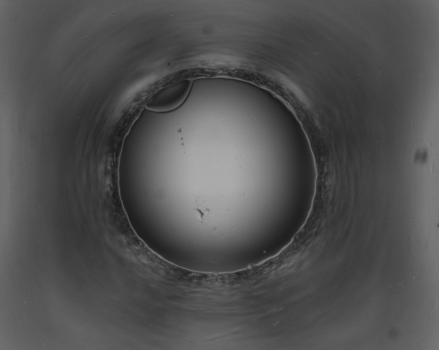 X0000093601016200710221543