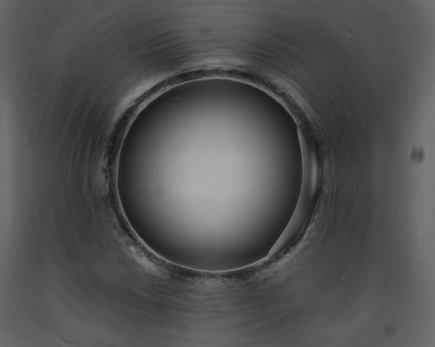 X0000093601018200710221543