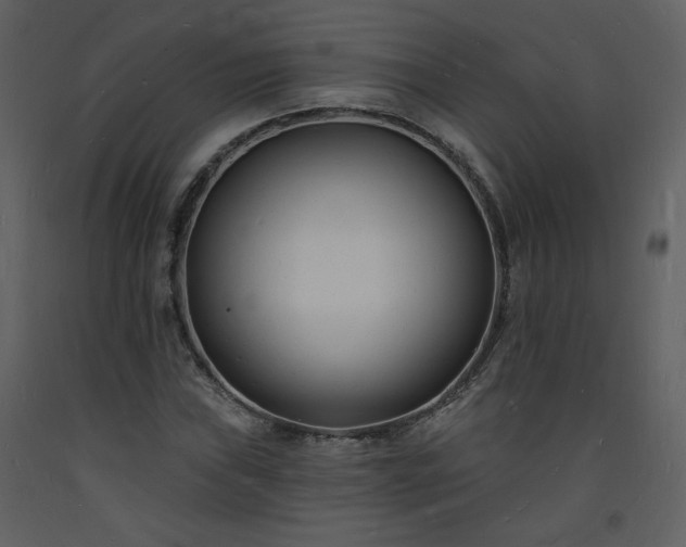 X0000093601019200710221543