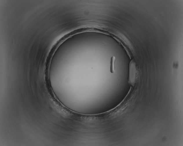 X0000093601020200710221543