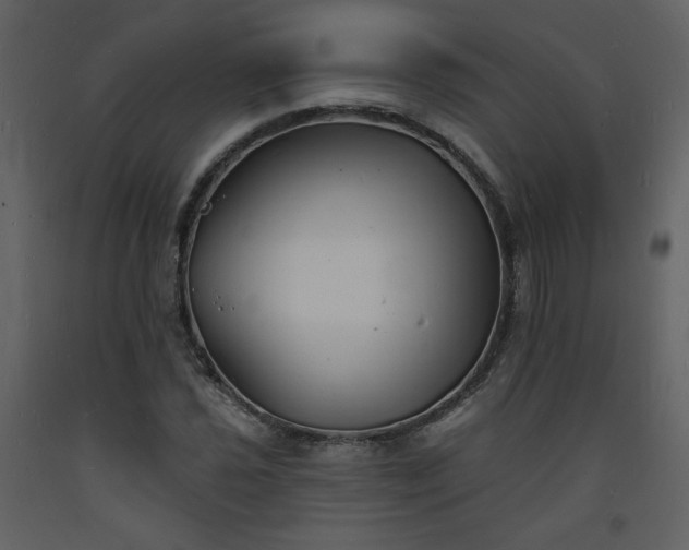 X0000093601021200710221543