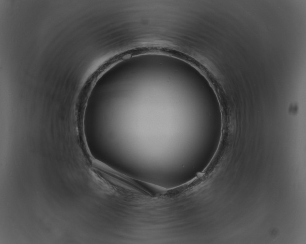 X0000093601022200710221543