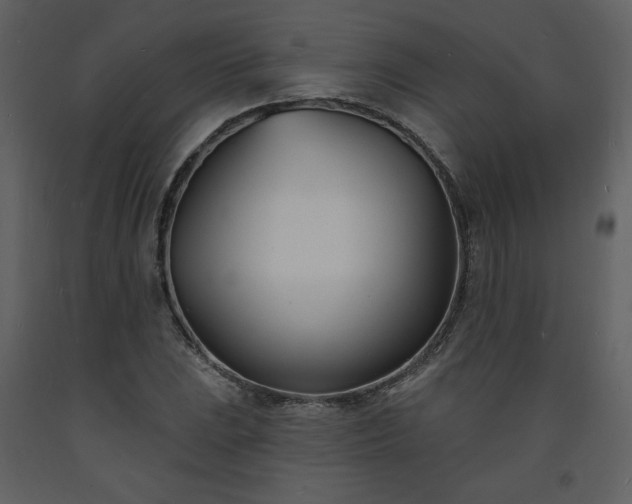 X0000093601023200710221543