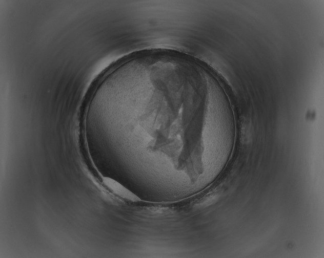 X0000093601024200710221543