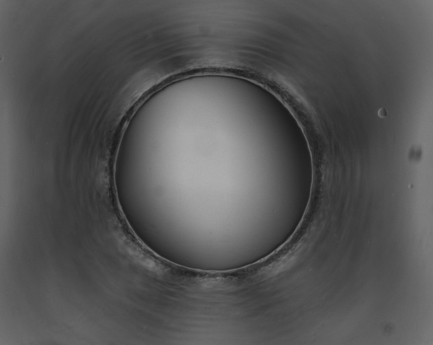 X0000093601025200710221543