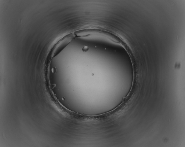 X0000093601026200710221543