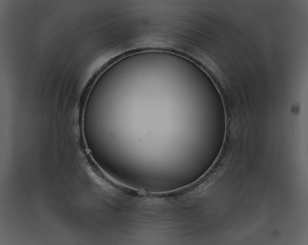 X0000093601030200710221543