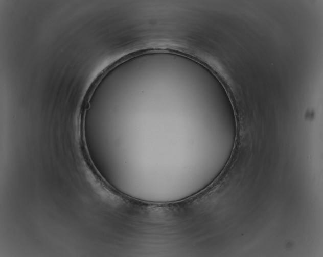 X0000093601032200710221543