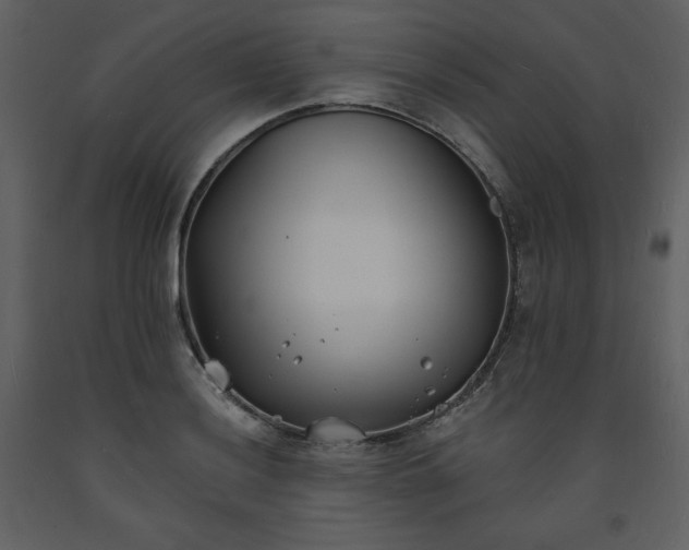 X0000093601036200710221543