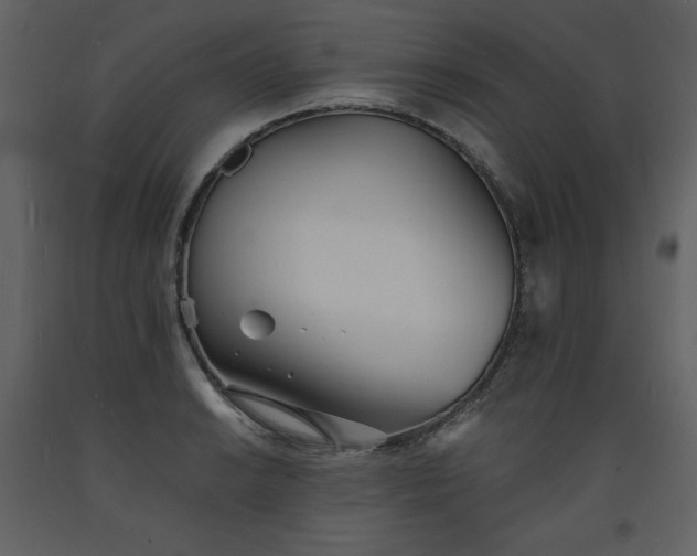 X0000093601038200710221543