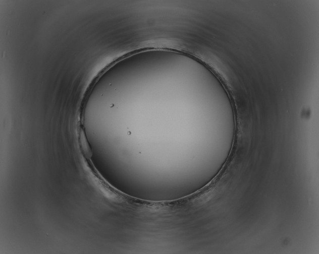 X0000093601040200710221543