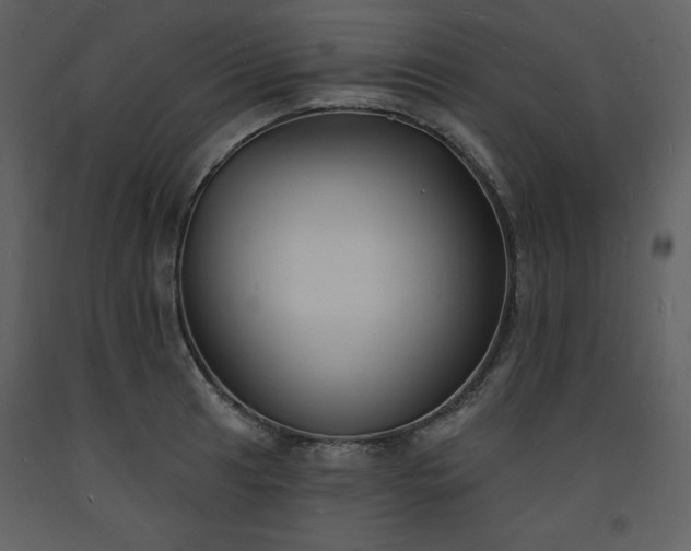 X0000093601041200710221543