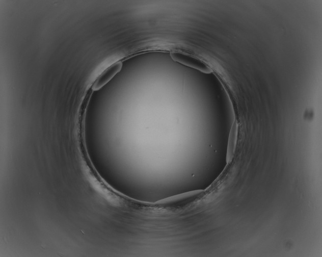 X0000093601042200710221543