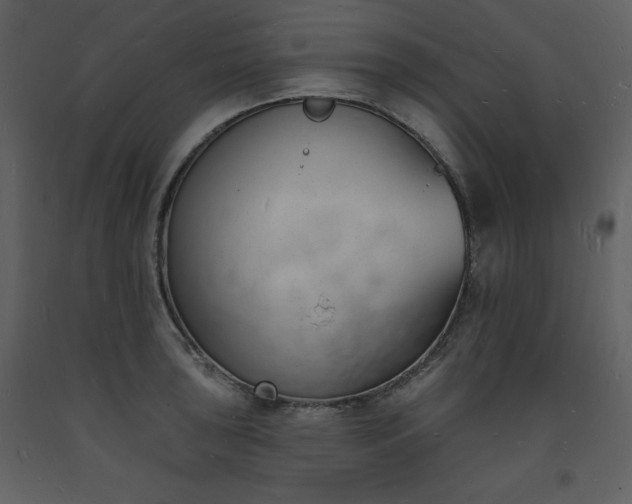 X0000093601043200710221543