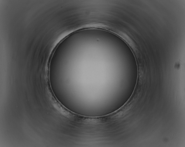 X0000093601044200710221543