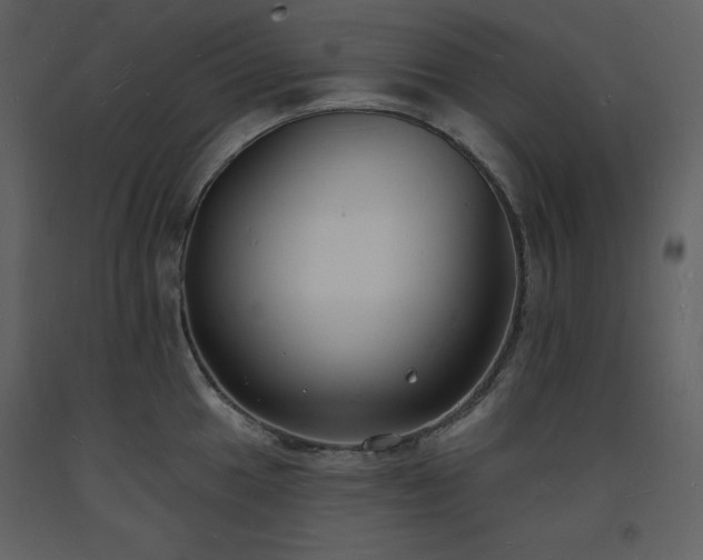 X0000093601049200710221543