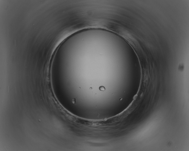 X0000093601052200710221543