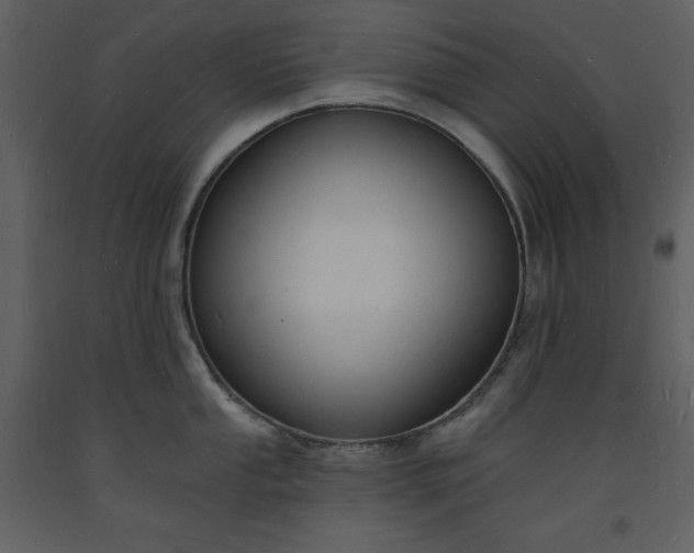 X0000093601053200710221543