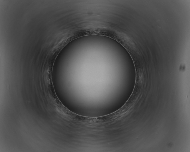 X0000093601060200710221543