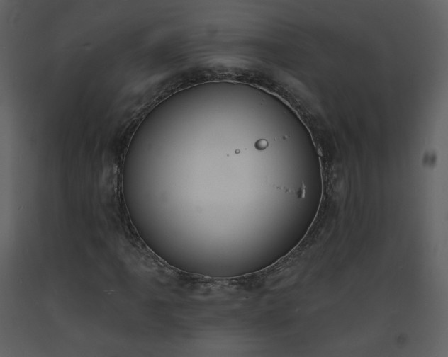 X0000093601061200710221543