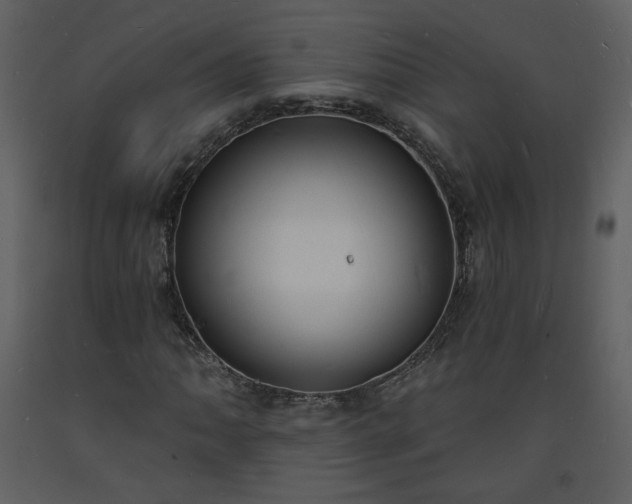 X0000093601062200710221543