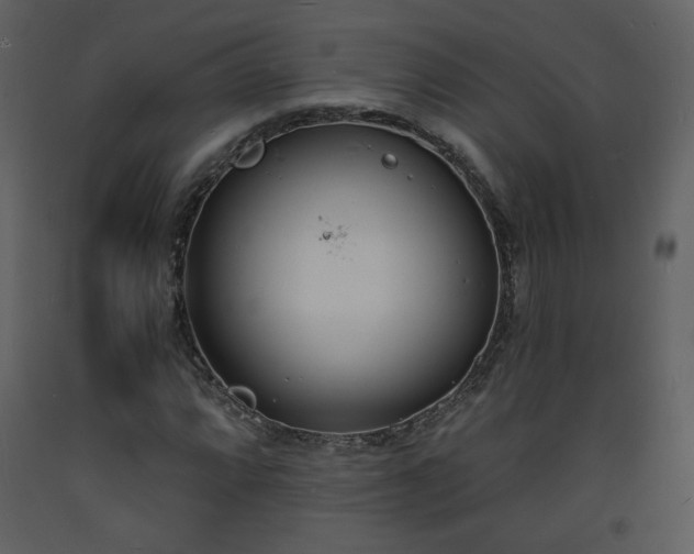 X0000093601064200710221543