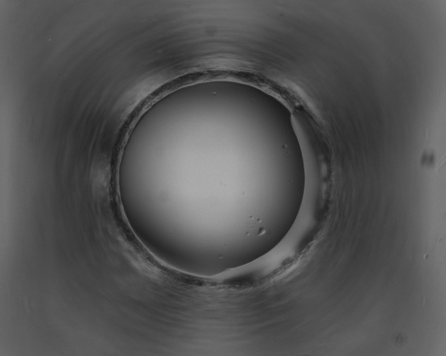 X0000093601065200710221543