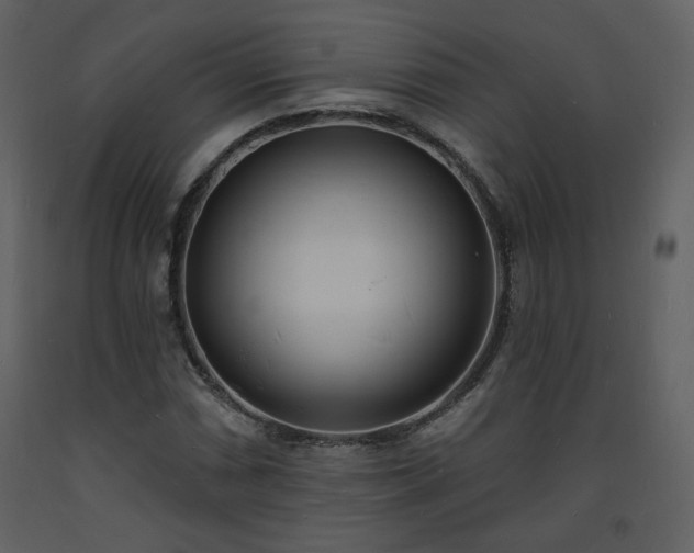 X0000093601066200710221543