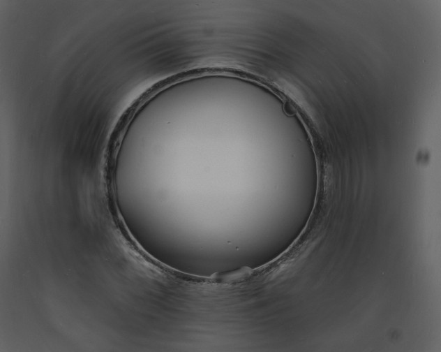 X0000093601068200710221543