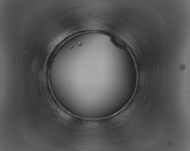 X0000093601071200710221543