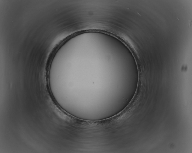 X0000093601072200710221543