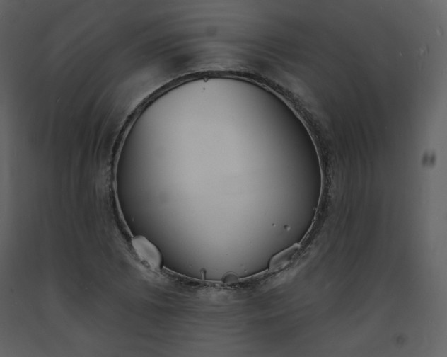 X0000093601073200710221543