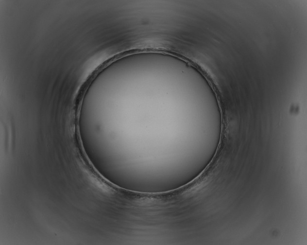 X0000093601075200710221543