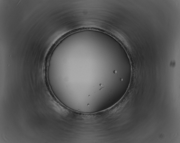 X0000093601076200710221543