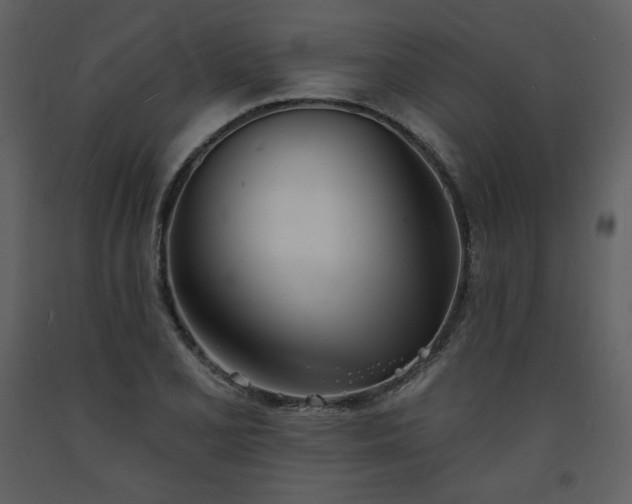 X0000093601077200710221543