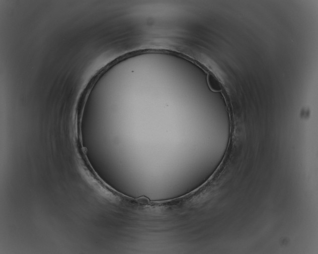 X0000093601080200710221543