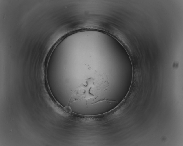 X0000093601082200710221542