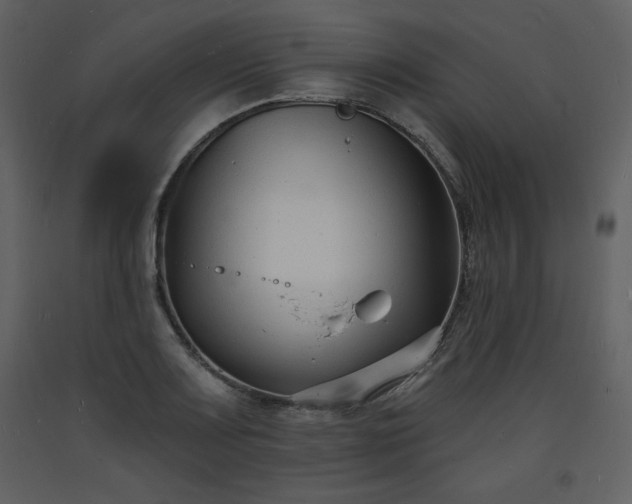 X0000093601083200710221542