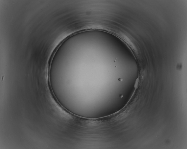 X0000093601084200710221542