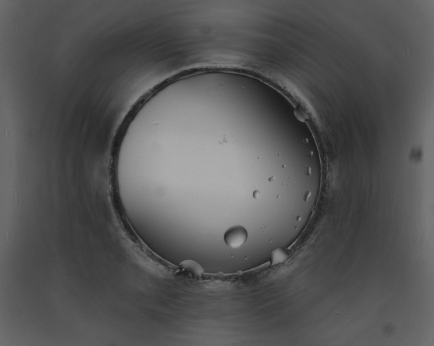 X0000093601085200710221542