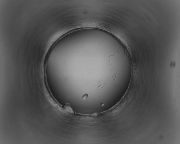 X0000093601088200710221542