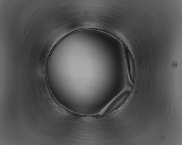 X0000093601089200710221542