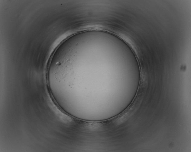 X0000093601090200710221542